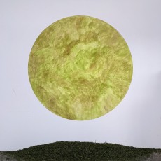 Herbe frottée sur mur, diamètre 200cm