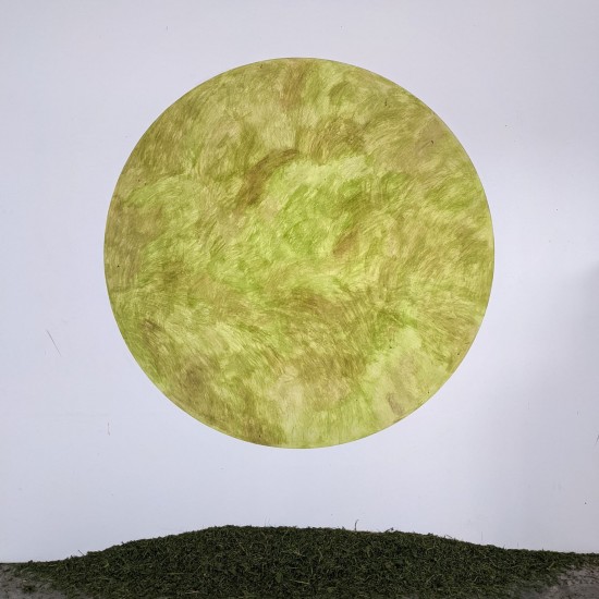 Herbe frottée sur mur, diamètre 200cm